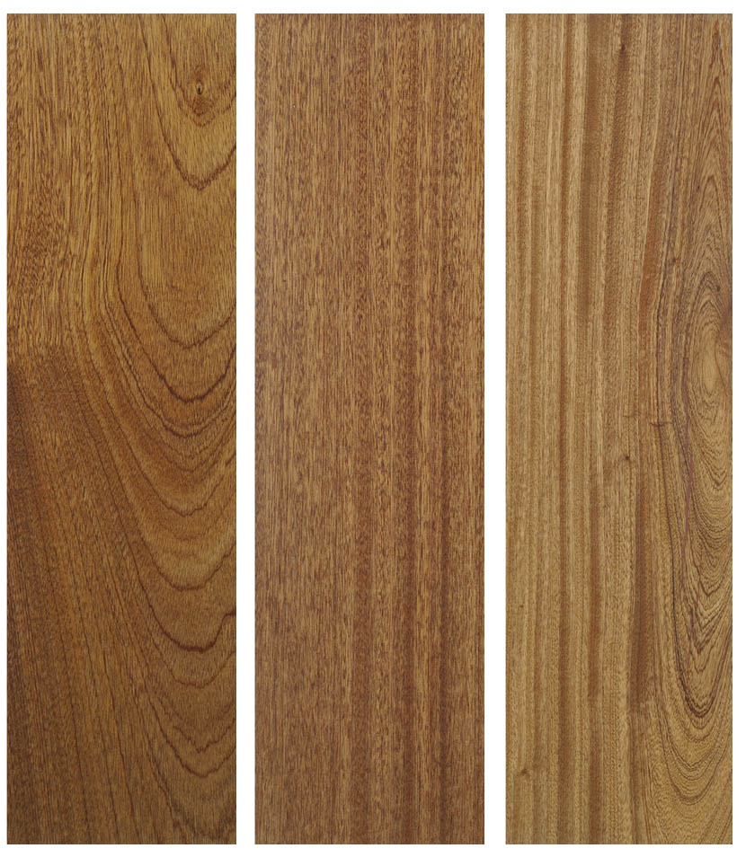 listones madera sapellu